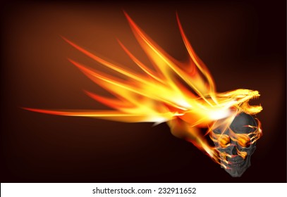 vector illustration of a fiery dragon that holds in paws skull