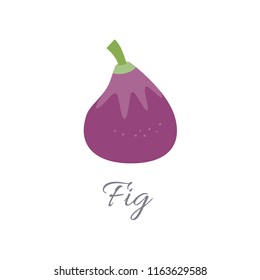 Vector illustration of fig icon in flat style with title, isolated on white background