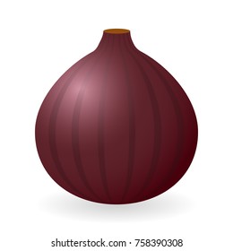 Vector illustration of fig isolated on white background