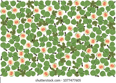 vector illustration of fig and leaf design background white and fruit EPS10