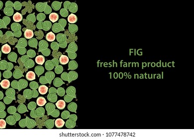 vector illustration of fig and leaf design background black and white and fruit and text fresh farm product 100% natural EPS10