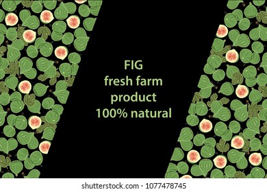 vector illustration of fig and leaf design background black and white and fruit and text fresh farm product 100% natural EPS10