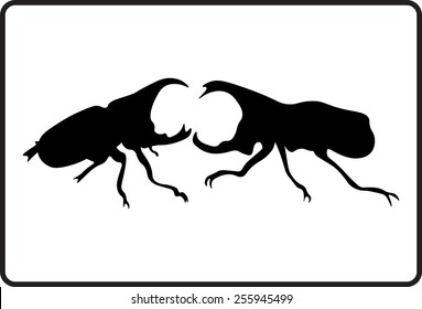 Vector illustration fighting male Siamese rhinoceros beetle