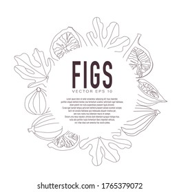 Vector illustration of figs, whole and in section. Ripe fruits. Background with copy place for design, banner, packaging. Flat style on a dark background with outline.