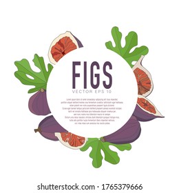 Ilustración vectorial de higos, enteros y en sección. Frutas maduras. Fondo con lugar de copia para diseño, banner, embalaje. Estilo plano sobre un fondo oscuro con contorno.