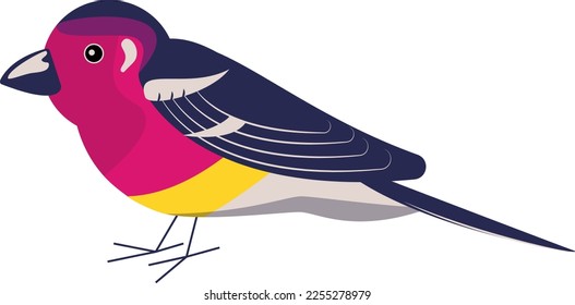 ilustración vectorial: pájaro fino, azul, rosa, púrpura