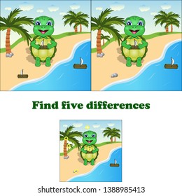 vector illustration find 5 differences turtle