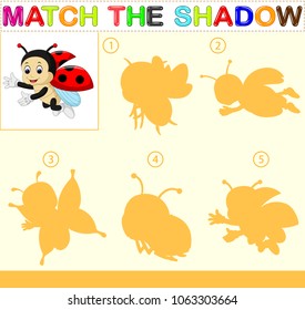 vector illustration of Find the correct shadow of the ladybug