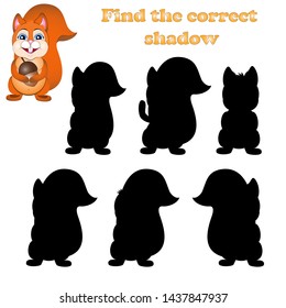 vector illustration of find the right shadow of a squirrel with the acorn
