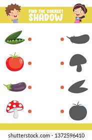 Vector Illustration Of Finding Correct Shadow Exercise