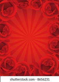 Vector illustration - fine blossoming roses