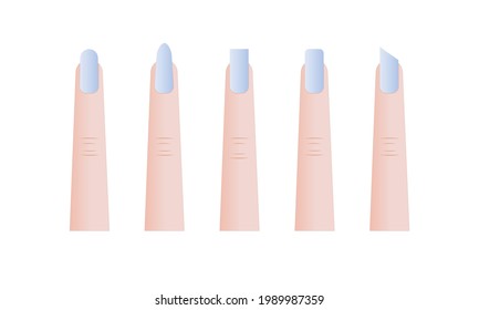 Vector illustration of finger with manicure