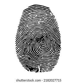 vector illustration of finger print. black and white finger print illustration