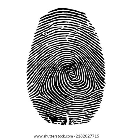 vector illustration of finger print. black and white finger print illustration