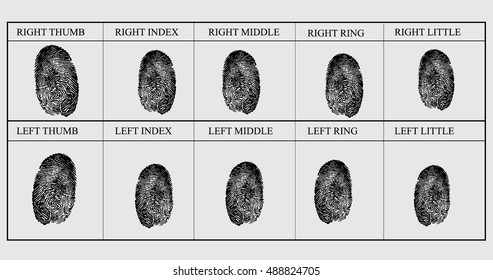 Raster Illustration Fingerprint Card Sample Identification: Ilustrações ...