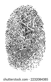 vector illustration of fingerprint icon on white background