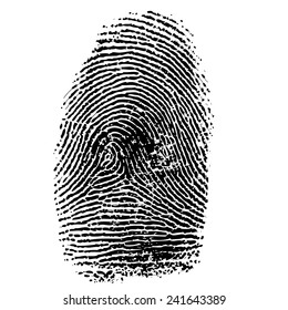 Vector illustration of fingerprint isolated on white