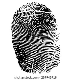 Vector illustration of fingerprint isolated on black