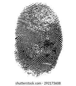 Vector illustration of fingerprint isolated on white