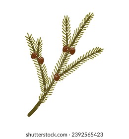 Vector illustration of a fir branch with cones dusted with snow. Isolated design on a white background.