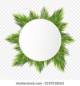 Vector illustration of fir branches with circle frame on transparent background