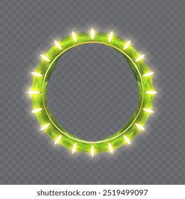 Vector illustration of fir branches garland with lights effect on transparent background