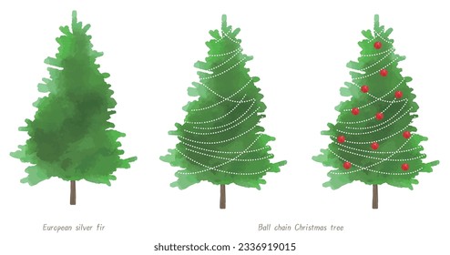 Vector illustration of a fir tree, Christmas tree