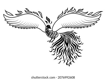 Vector illustration, fire bird, phoenix, beautiful bird, in line art and doodle