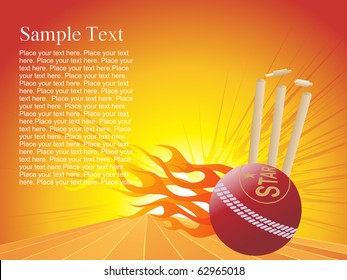 vector  illustration of fire cricket background