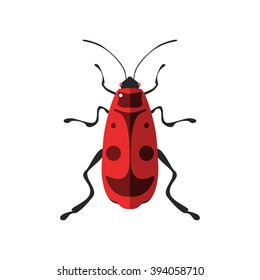 Vector illustration of a firebug. Isolated on a white background.