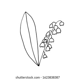 Vector illustration of the first spring flower lily of the valley