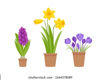 Vektorillustration Illustration der ersten Frühlingsblumen in Topf einzeln auf Weiß. Cartoon crocus, daffodil und hyacinthus, verwendet für Magazin, Poster, Webseiten.