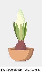 Vector illustration of first spring flowers in a pot isolated on a gray background. Hyacinth in a brown ceramic pot used for magazine, poster, web pages. Template for gift and bouquet composition