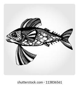 Vector illustration with fish
