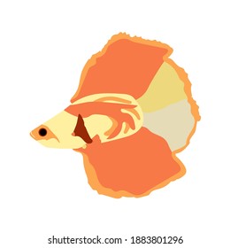 Vector illustration of fish betta fish in orange color scheme, design and draw in flat color and modern color pastel and soft color