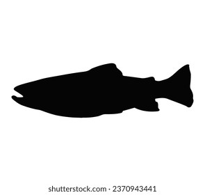 Vektorgrafik eines Fisches. Bachforelle Silhouette.