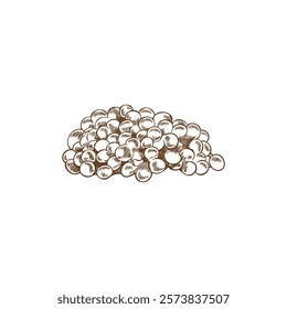 Vector illustration of a fish caviar in the style of a hand-drawn sketch on a white background for decorating restaurant menus or recipes with delicacies