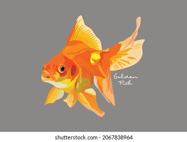Ilustración vectorial de peces, peces de oro