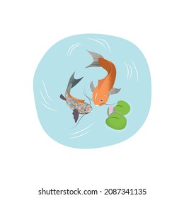 Vector illustration of Fish multi color and orange koi in blue lake with lotus on white background