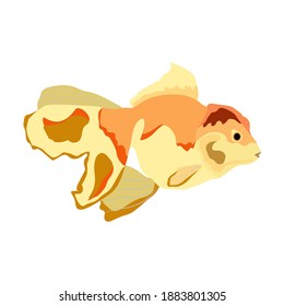 Ilustración vectorial de los peces en tonos anaranjados, diseño moderno de color plano, color naranja de pasta suave, pescado de mar y peces de estanque