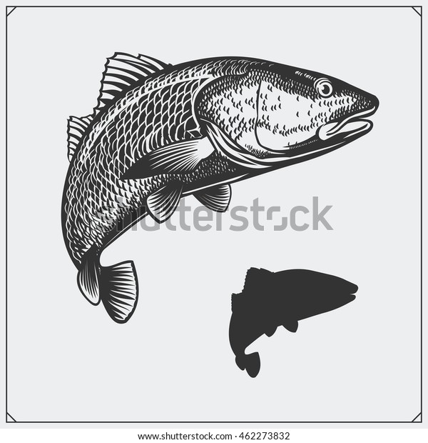 Vector De Stock Libre De Regalias Sobre Ilustracion Vectorial De Un Pez Silueta462273832