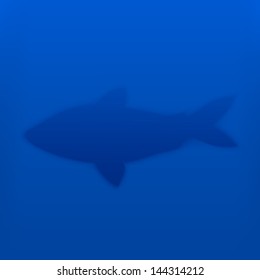 Vector illustration of fish under the water
