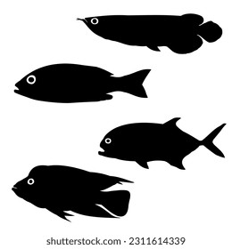 vector illustration of a fish.suitable for aquatic animal themed designs