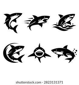 Vector illustration of five different bird silhouettes in black on transparent background