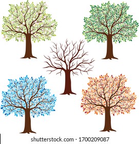 A vector illustration of five isolated detailed trees in different seasons