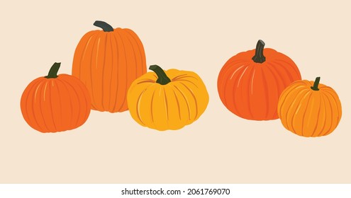 Vector Illustration of Five Isolated Pumpkins on Cream Colored Background, Autumn Themed Still Life