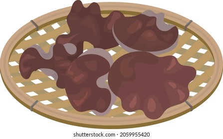 Vector illustration of five Jew's ear mushroom on a basket.