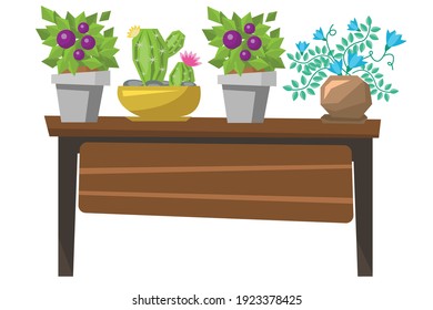 Ilustración vectorial de cinco plantas dispuestas con diferentes variedades sobre una mesa. 6000x4000 píxeles perfectos.