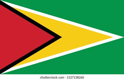 vector illustration of Flag of Guyana