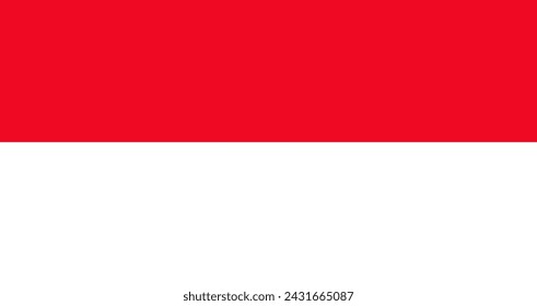 vector illustration of the flag of Indonesia